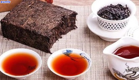 普洱茶好听的茶语全解析：种类、名称及推荐