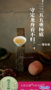 普洱茶好听的茶语是什么？解析其含义与背后故事