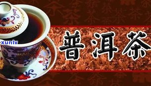 昆明普洱茶：哪里买好？品牌推荐与回收指南