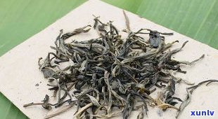 有机茶普洱茶勐宋-勐宋普洱茶特点