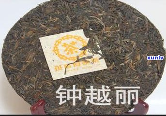 有机茶普洱茶勐宋-勐宋普洱茶特点