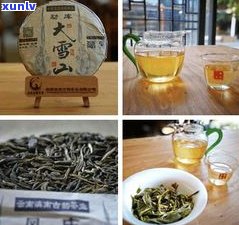 茶博会 *** 普洱茶-茶博会 *** 普洱茶视频