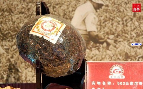 90年代蘑菇沱茶：行情、特点与价格全解析