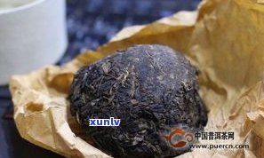 90年代蘑菇沱茶：行情、特点与价格全解析