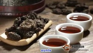 普洱茶老茶头是什么？口感特点及饮用作用详解