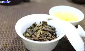 普洱茶老茶头好么-普洱茶老茶头好么还是新茶