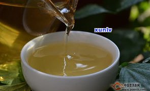 普洱茶只有熟茶和生茶吗？哪种更好喝？