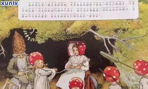 周渝普洱茶：真人御风，普洱茶大师的故事