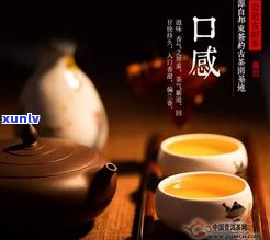 东和普洱茶新闻网：官网、价格行情、交易网一网打尽！