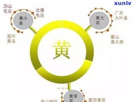 黄普洱属于什么茶？探究普洱黄茶及其与普洱茶的关系，揭示黄普洱的真实面貌