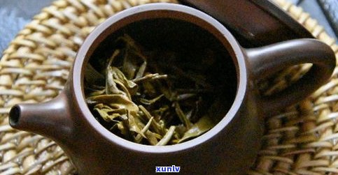 古普洱茶哪种茶好-古普洱茶哪种茶好喝