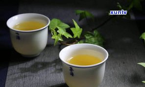 古普洱茶哪种茶好-古普洱茶哪种茶好喝