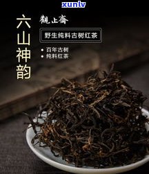 云南滇红和古树红茶有何区别？深入了解两种红茶的不同之处