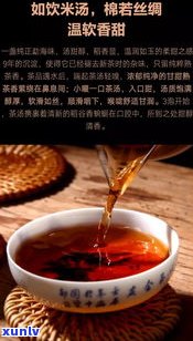 普洱茶的熟茶历史-普洱茶的熟茶历史渊源