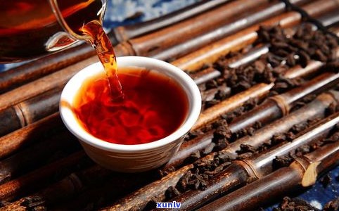 探究泾阳茯茶与普洱茶生产工艺、原材料销售等差异与共性，深入熟悉泾阳茯茶的历史发展及其与普洱熟茶的比较。