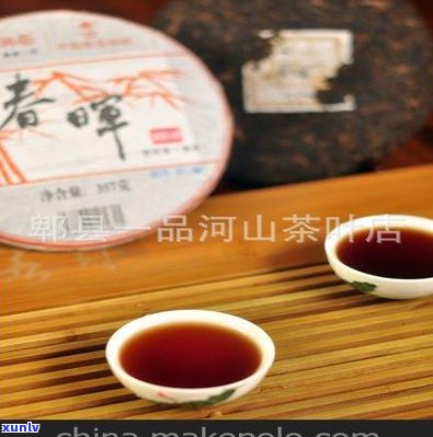 龙润普洱茶价格表：2006年100克、含图