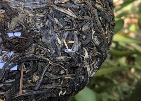 顶级普洱茶古树茶-顶级普洱茶古树茶有哪些