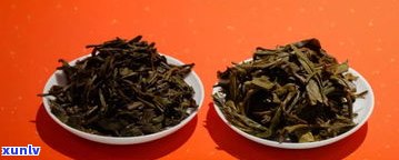 普洱茶制茶的过程-普洱茶制茶的过程视频