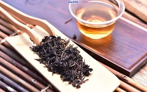 湖南黑茶与普洱茶的区别：口感、产地及 *** 工艺的对比分析