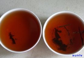 黑茶和普洱茶：有何不同？哪个更好？