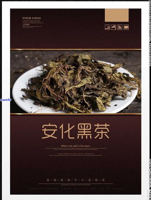 黑茶和普洱茶：有何不同？哪个更好？