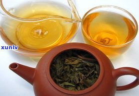 普洱茶属于青茶吗-普洱茶属于青茶吗?