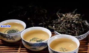 喝普洱茶生茶熟茶的好处：功效、优点与留意事项