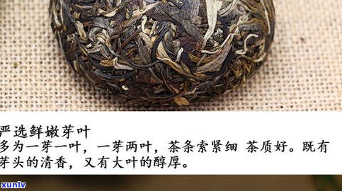 6只凤凰茶普洱茶-凤凰普洱茶怎么样