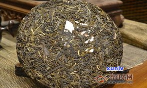 普洱茶分为生茶和熟茶两类，具体包括哪些种类？