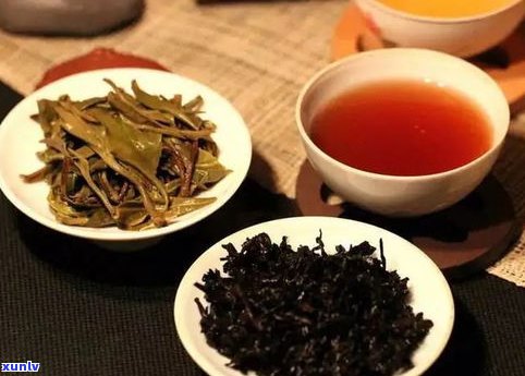 普洱茶分为生茶和熟茶两类，具体包含哪些种类？