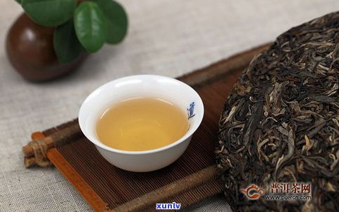 普洱茶古树茶：分辨真假的 *** 与技巧