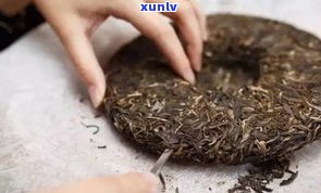 普洱茶饼撬茶过程-普洱茶饼撬茶过程视频