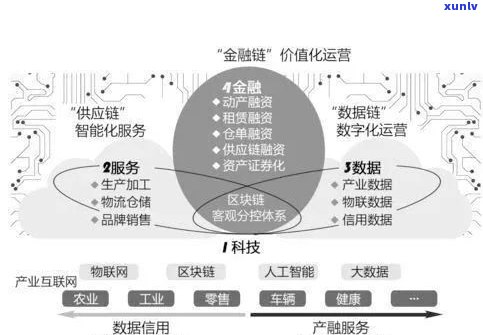 普洱茶八项因子：了解审评与品质的关键要素