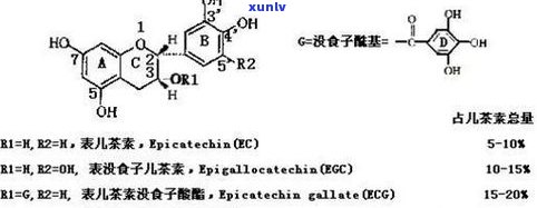 普洱茶八项因子：熟悉审评与品质的关键要素