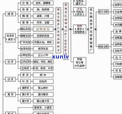 茶叶八因子：审评表、审评法与品牌解析