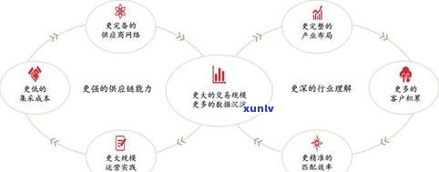 普洱茶审评的八大因子：全面解析茶叶品质的关键要素