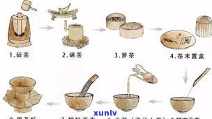 八因子评茶法：全面解读茶叶鉴赏的五大关键要素