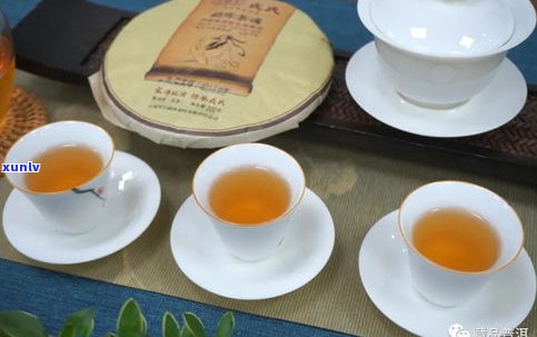 大益普洱茶专业知识视频全集：系列介绍、新品、产品大全与经典款