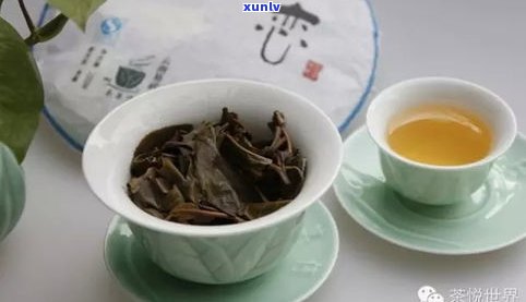 普洱茶是什么茶呀-普洱茶是什么茶呀图片