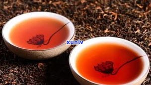 普洱茶是什么茶呀-普洱茶是什么茶呀图片