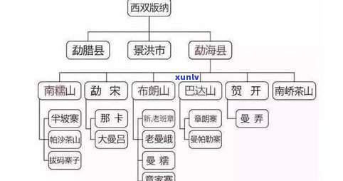 探究云南普洱茶茶区特点：知乎带你了解三大茶区茶叶特性、产区分布及重要茶区