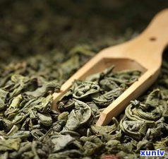 云南茶科所茶怎么样？产品、价格全解析！