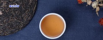 云南茶科所普洱茶-云南茶科所普洱茶怎么样