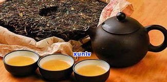 全面解析：普洱茶苦甜茶的品种、区别与功效，苦茶甜茶你了解吗？