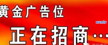 光大银行周末可办理信用卡及相关业务，包含开通、还款等，是不是收费请咨询银行。