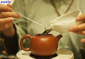 泡茶飘逸杯品牌推荐：如何选择好用的泡茶飘逸杯？