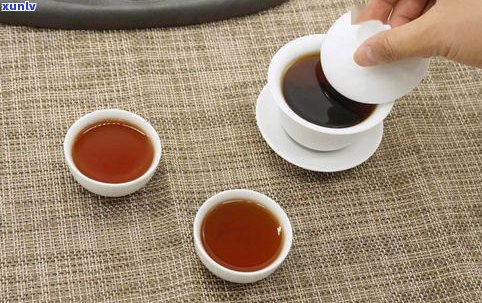 普洱茶老茶客评茶-普洱茶评茶术语大全