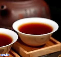 可以兴普洱茶老茶-可以兴普洱茶老板