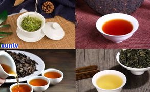 普洱茶、绿茶和黄茶：口感比较与区别