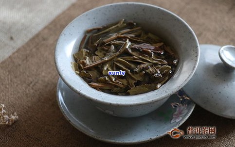 普洱茶绿茶和黄茶-普洱茶绿茶和黄茶哪个好